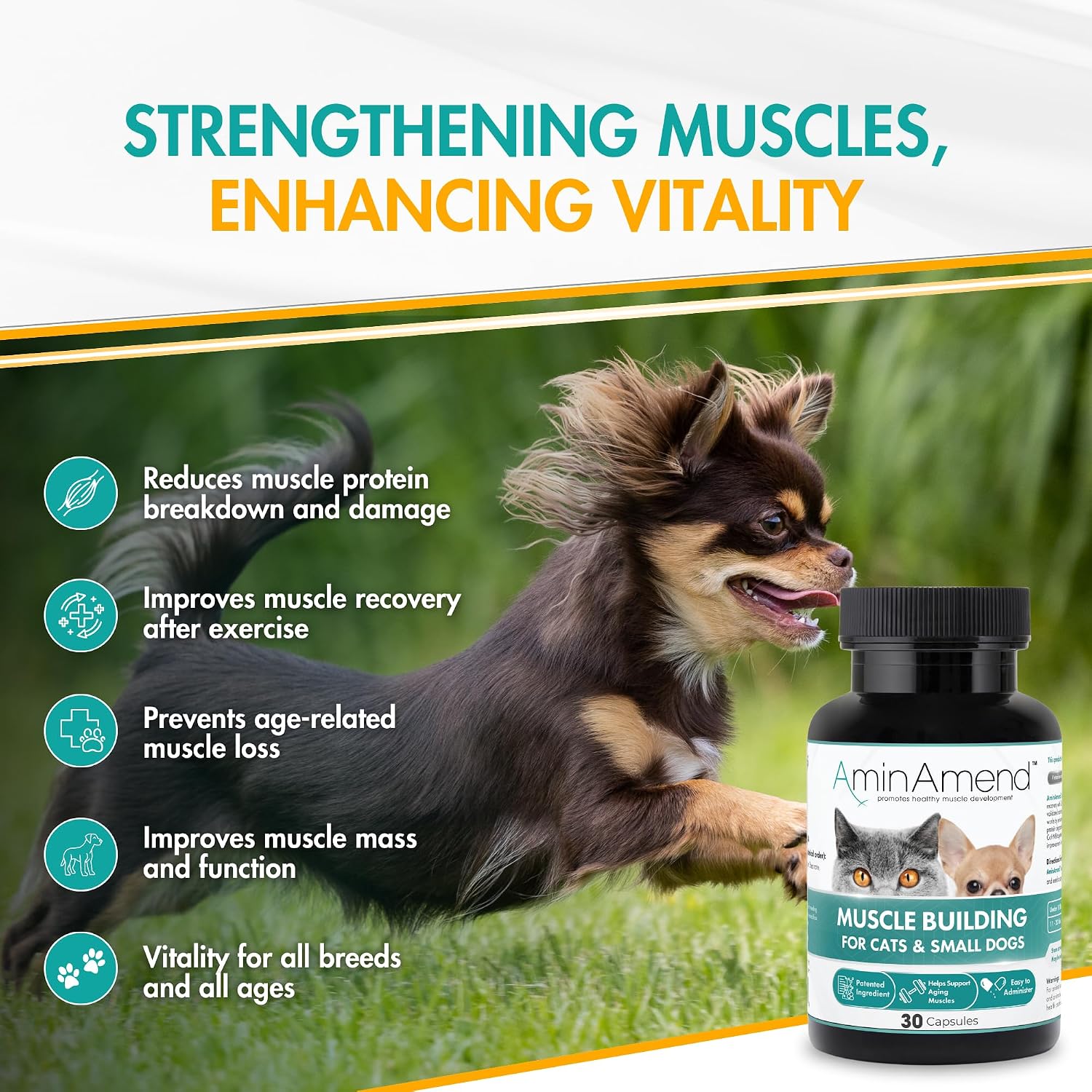 AminAmend Muscle Support for Small Dogs and Cats with CaHMB and Vitamin D3 – 30 Capsules - görsel 2