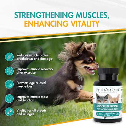 AminAmend Muscle Support for Small Dogs and Cats with CaHMB and Vitamin D3 – 30 Capsules