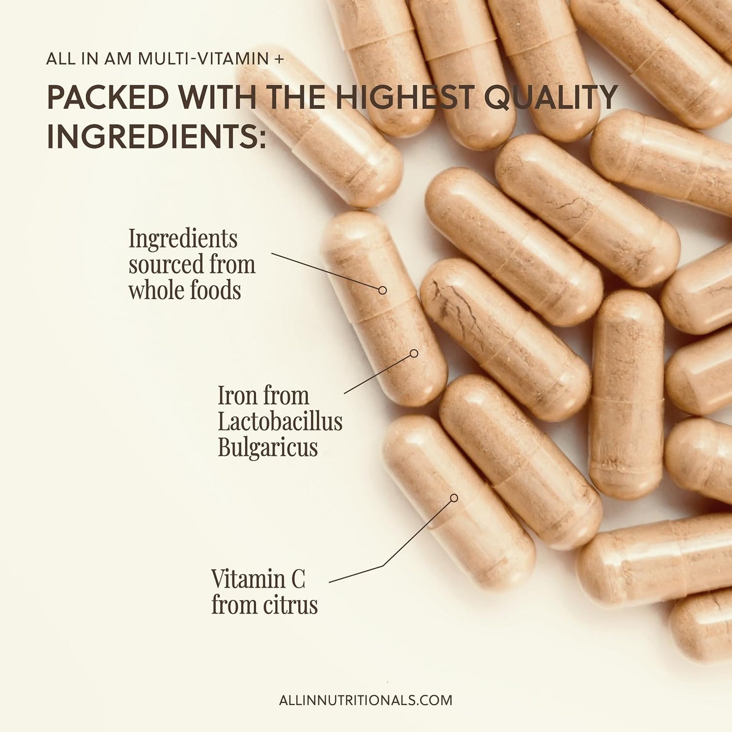 All In Nutritionals AM Multivitamin +: Vegan, Food-Based Multivitamin with Vitamin D3, K2, B12, Iron and Ionic Fulvic Acid - görsel 6