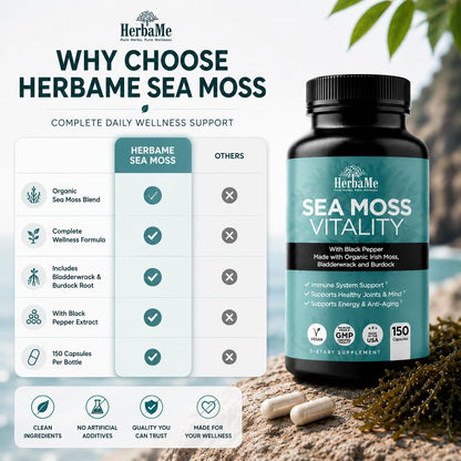 Organic Sea Moss Supplement with Bladderwrack & Burdock Root – Irish Moss with Black Pepper Extract, Daily Mineral Support for Energy & Wellness, 150 Capsules