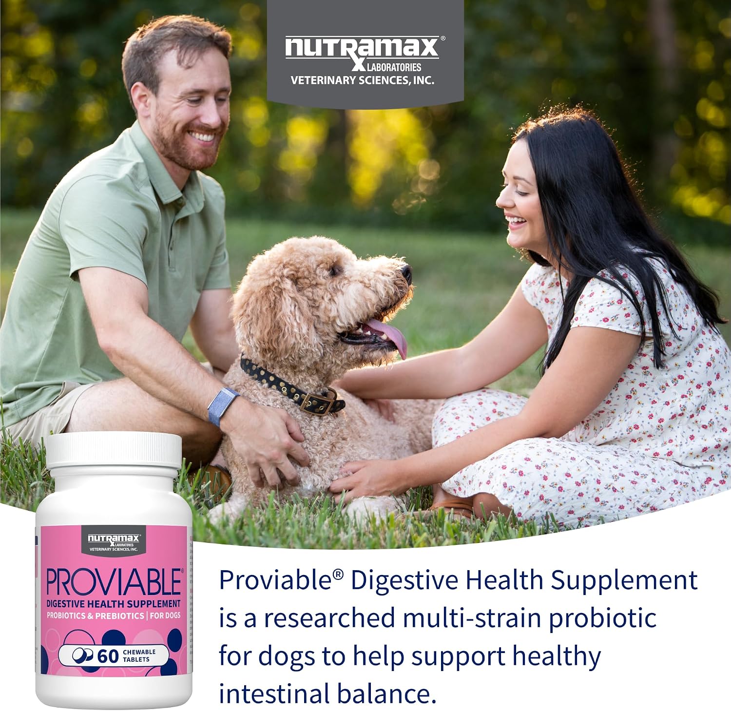 Nutramax Proviable Probiotics for Dogs - Daily Digestive Health Supplement with Prebiotics, 60 Chewable Tablets - görsel 3