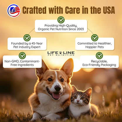 Life Line Salmon Oil for Pets – Omega-3 DHA EPA Supplement for Dogs & Cats – Cold-Filtered, 900 ml