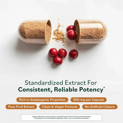 Schisandra - Herbal Food Supplement for Liver Health & Stress Resilience - No Artificial Colours - Non-GM, Vegan & Gluten-Free - 60 Capsules (60 Servings)