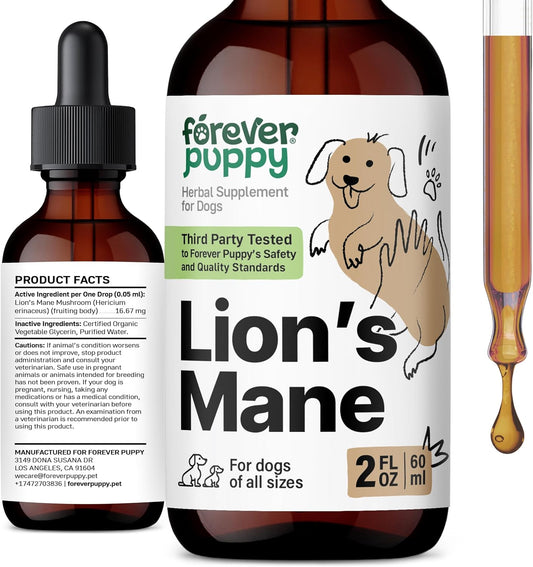 Forever Puppy Lion's Mane Mushroom Supplement for Dogs – Brain & Focus Support, 60 ml
