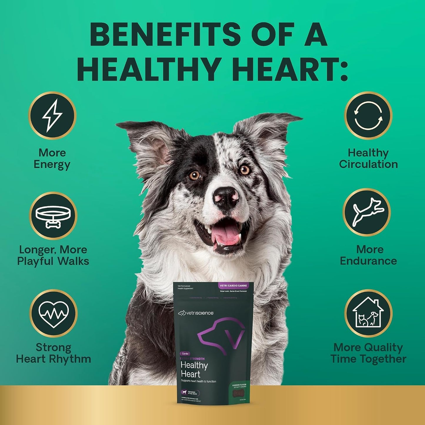VetriScience Extra Strength Healthy Heart Chews for Dogs - görsel 6
