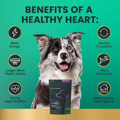 VetriScience Extra Strength Healthy Heart Chews for Dogs