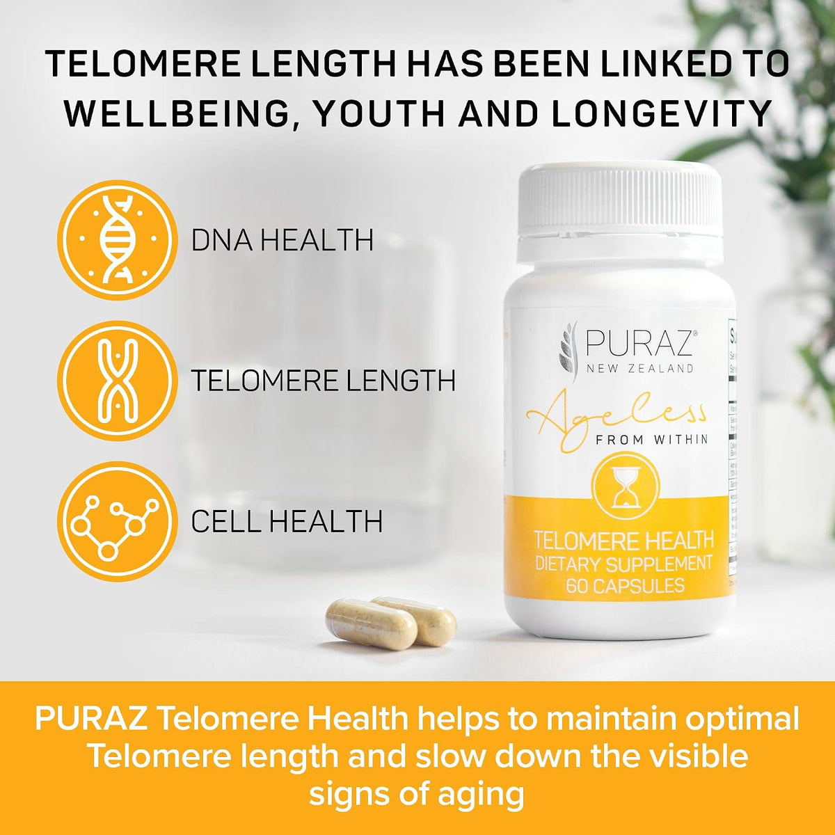 PURAZ Telomere Supplements with Potent Astragalus Root Extract & Collagen - Advanced Formula for Telomere Support, Anti-Ageing, Longevity, DNA Repair & Antioxidant Defence - 60 Capsules - görsel 3