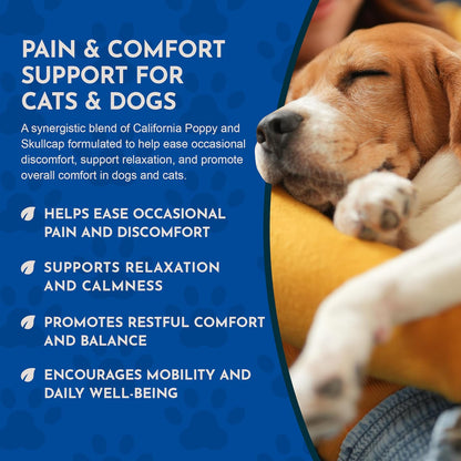 Comfort Plus Herbal Formula for Dogs & Cats, 60 ml