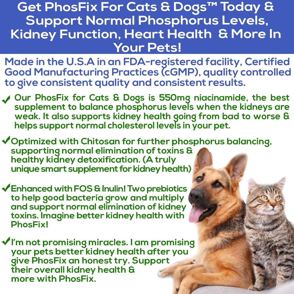 PhosFix for Cats & Dogs: Phosphorus Binder to Support Normal Phosphorus Levels and Kidney Function - görsel 2