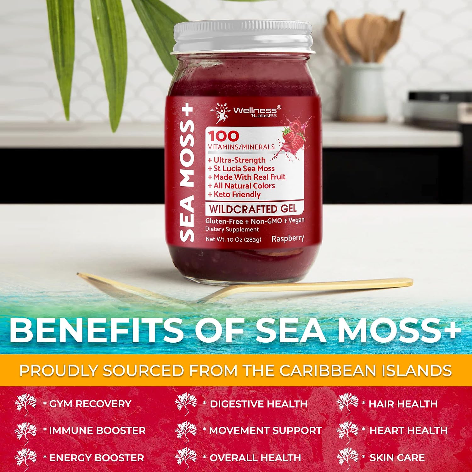 WELLNESS LABSRX Irish Sea Moss Gel - Wildcrafted Superfood, Raspberry Flavour, 283 g - görsel 6