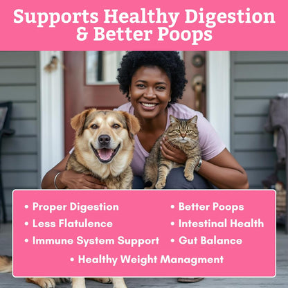 Wholistic Pet Organics Daily Probiotic for Dogs & Cats - Digestive Enzymes & Prebiotic Fibre - 8 oz Powder – Image 4