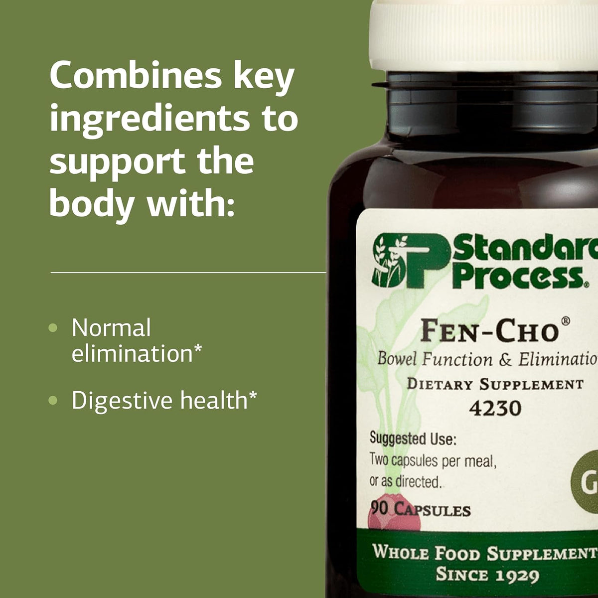 Standard Process Fen-Cho – Digestive & Gut Health Supplement – Gluten-free, Dairy-free, Soya Free – 90 Capsules - görsel 4