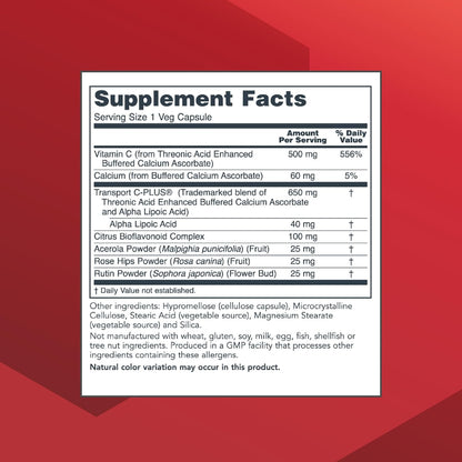 PROTOCOL FOR LIFE BALANCE ProtoSorb C 500 – Highly Absorbable Vitamin C with Alpha-Lipoic Acid – Buffered, Non-Acidic – 100 Veg Capsules