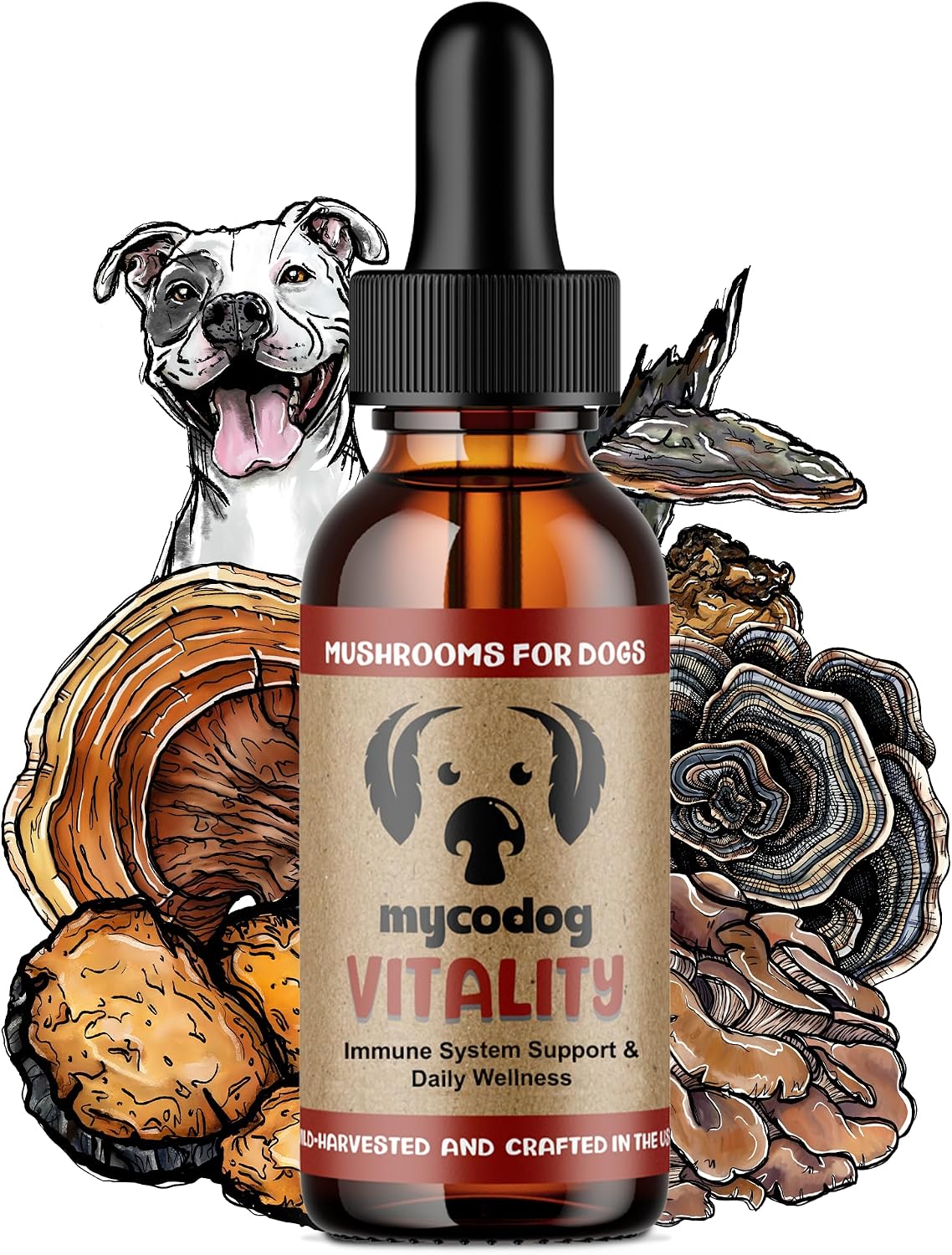 Vitality - 20-in-1 Turkey Tail Mushroom for Dogs - Mushroom & Adaptogen Supplement for Senior Dogs - Supporting Immune Health & Daily Wellness - with Reishi, Chaga - görsel 1