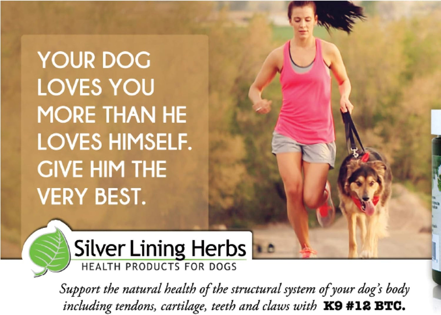 12 Bone Tissue and Cartilage - Natural Herbal Support for Dog's Structural System - 90 Capsules - görsel 3