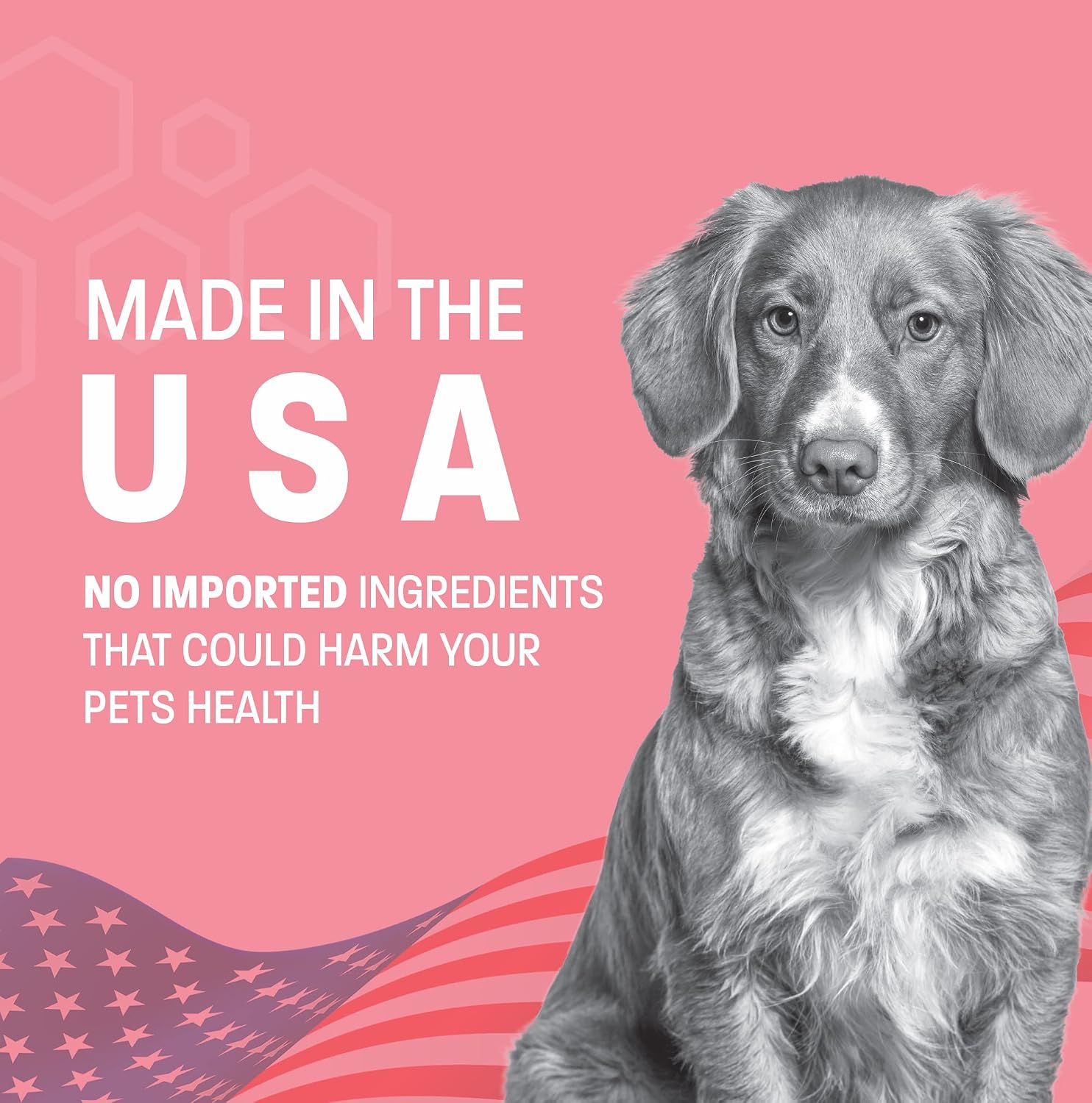 Pet Health Pros Probiotic Oral Paste for Dogs & Cats (30 cc) - görsel 5
