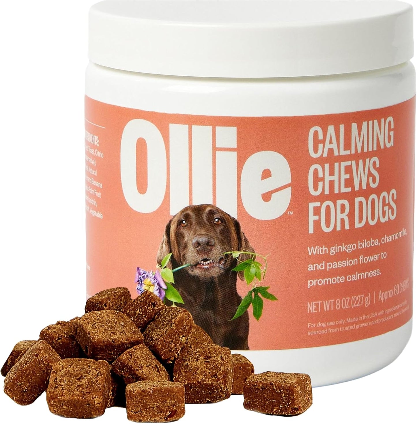 Ollie Belly Rubs Probiotic Dog Chews for Digestive Health, 60 Chews - görsel 9