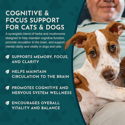 Animal Essentials Brain Awake Cognitive Support Formula for Dogs & Cats, 30 ml