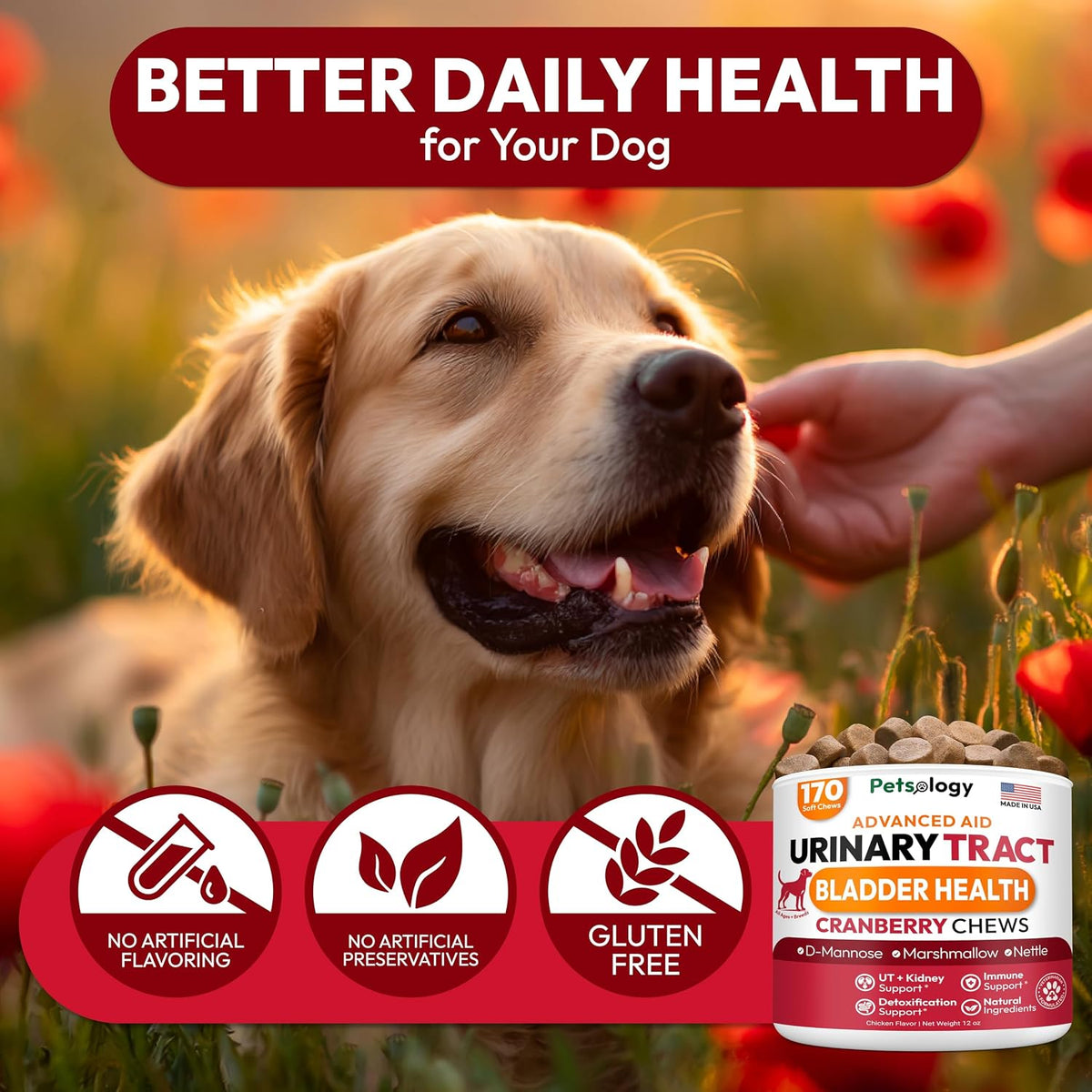 Petsology Dog UTI Treatment - 170 Cranberry Chews for Dogs - Urinary & Bladder Health Multivitamin with D-Mannose - görsel 6