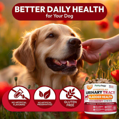 Petsology Dog UTI Treatment - 170 Cranberry Chews for Dogs - Urinary & Bladder Health Multivitamin with D-Mannose