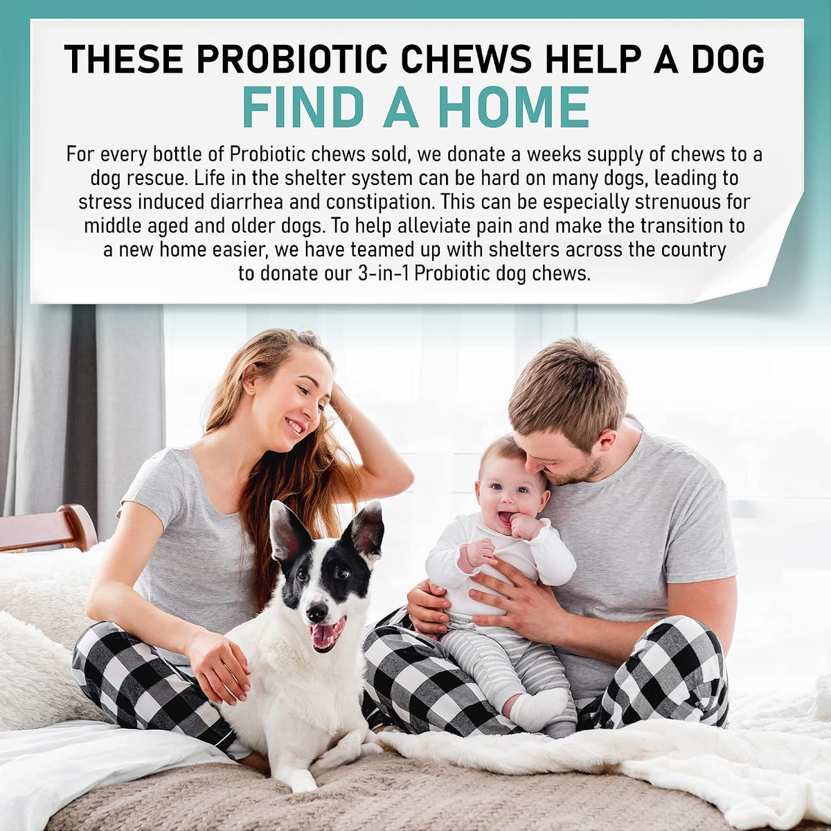 Gracie To The Rescue Probiotic Chews for Dogs - 120 Soft Chews - görsel 6