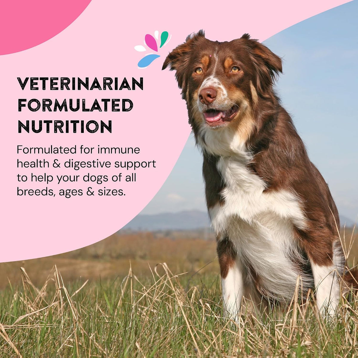 Happy Go Healthy Skin and Coat Supplements for Dogs – Probiotic and Prebiotic Benefits with Wild Salmon Omega-3s, 120 Count - görsel 6