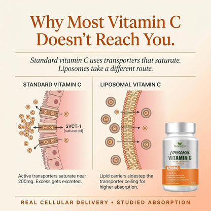 Sundhed Natural Pure Liposomal Vitamin C – 1200mg – 60 Capsules