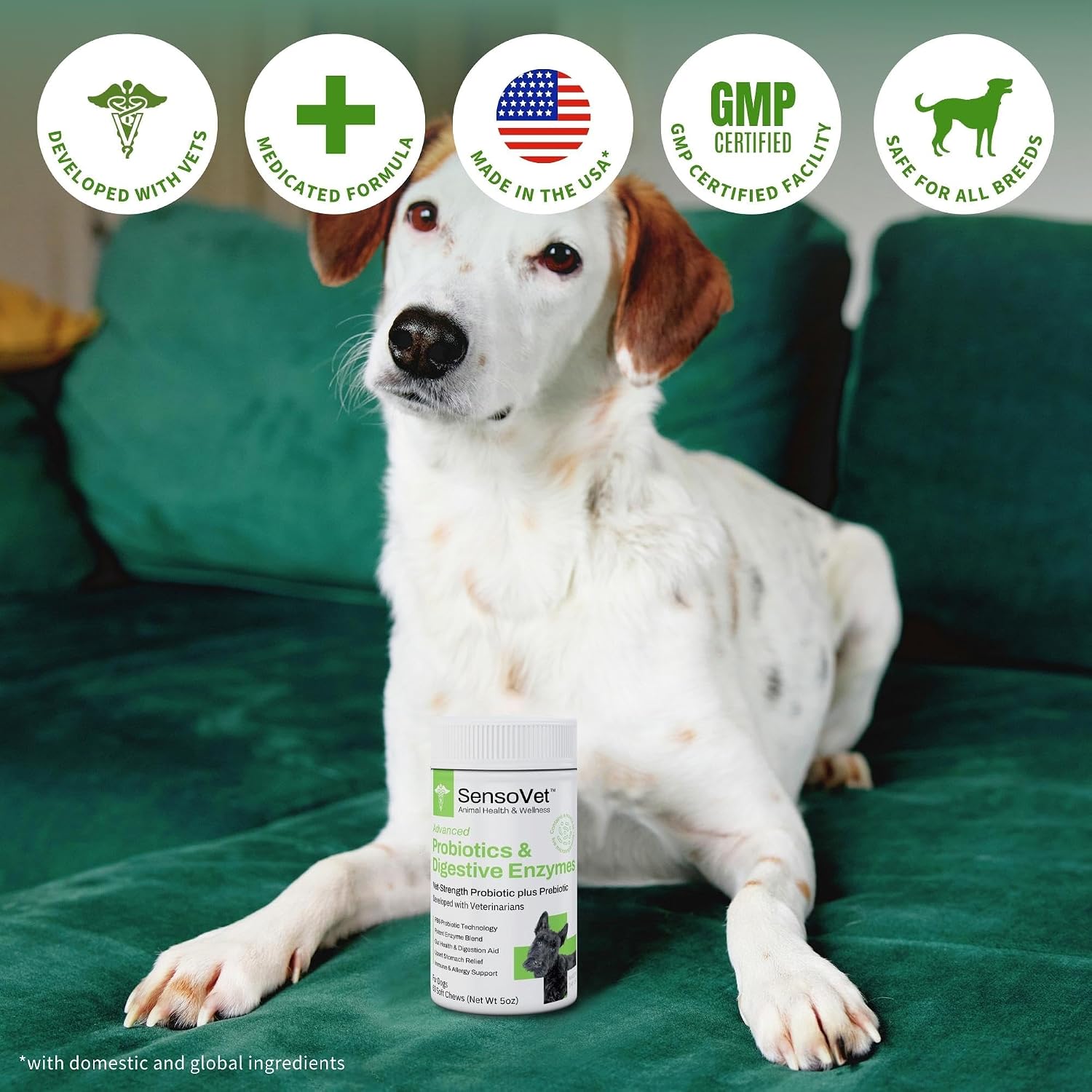 SensoVet Probiotics for Dogs with Prebiotics and Digestive Enzymes - görsel 6