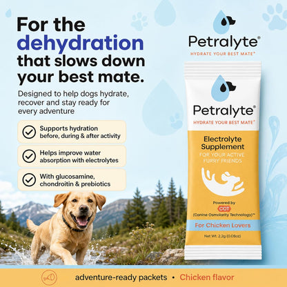 Petralyte Dog Electrolytes and Joint Supplement | Hydration Support with Glucosamine, Chondroitin & More | Electrolytes for Dogs with Prebiotics | Chicken Flavour | 16 Packets