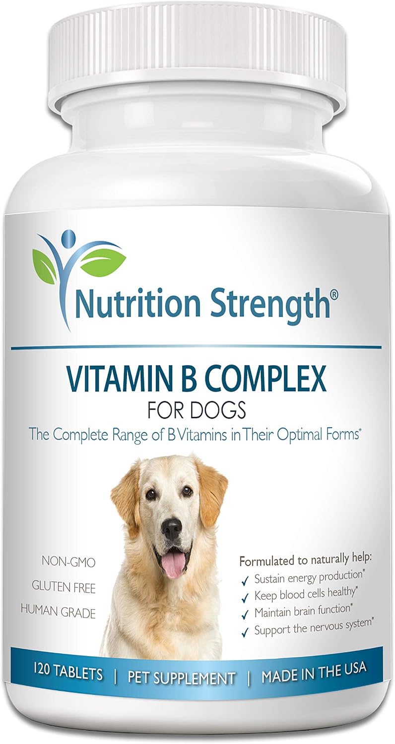 Nutrition Strength Vitamin B Complex for Dogs – for Blood Cell & Nervous System Support, 120 Chewable Tablets - görsel 1