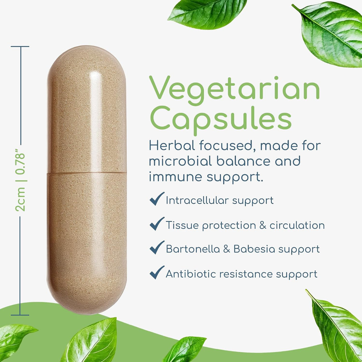 Cryptolepis Concentrate - Immune Support with Cryptolepis Sanguinolenta, 120 Capsules - görsel 4