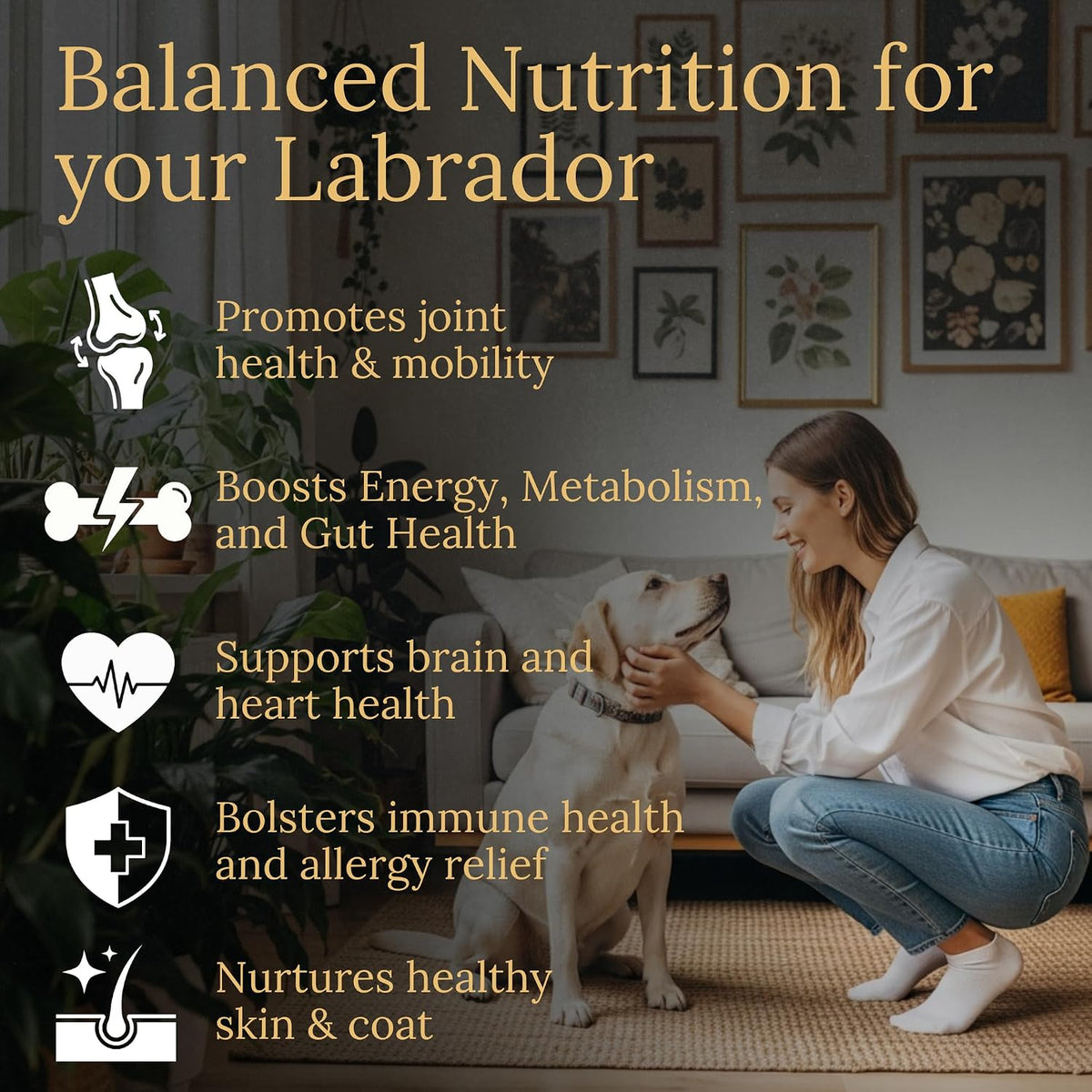Multivitamins, Balanced Nutrition for Your Labrador, 90 Count, Made in the USA with Real Bacon - görsel 2