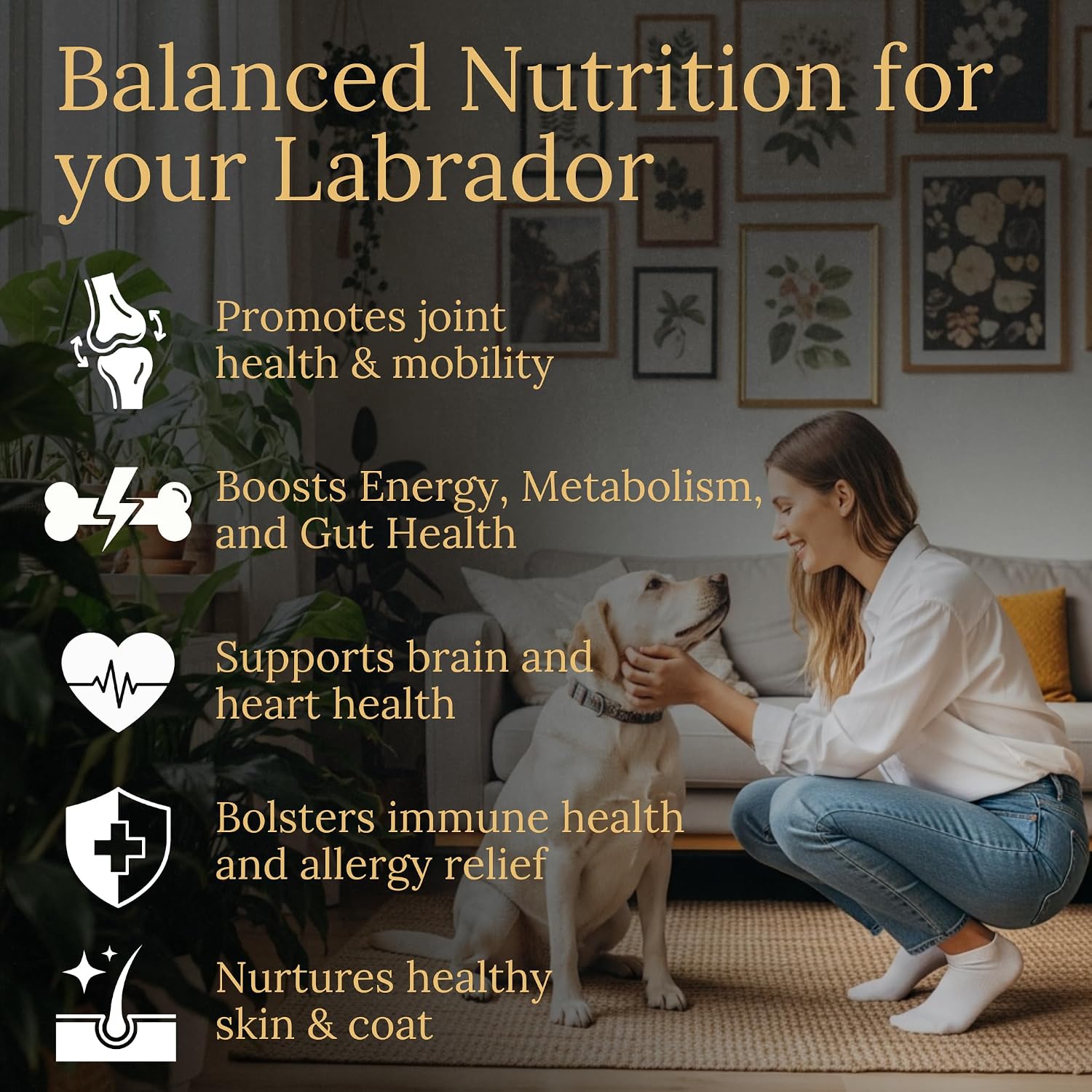 Multivitamins, Balanced Nutrition for Your Labrador, 90 Count, Made in the USA with Real Bacon - görsel 2