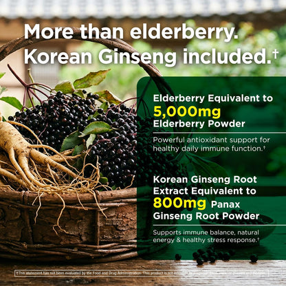 Immune Support 6-in-1 – Elderberry, Ginger, Korean Ginseng, Vitamin C 500mg, Vitamin D3 62.5μg, Zinc – Vegan Capsules – 30 Count