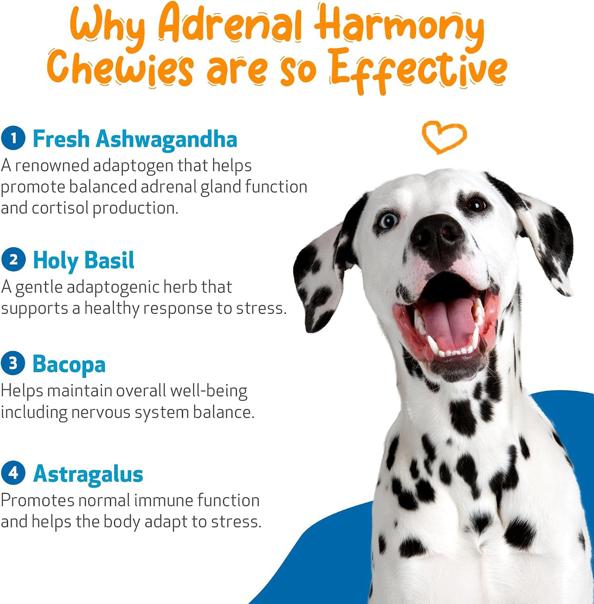 Pet Wellbeing Adrenal Harmony Chewies for – Targeted support : Choose a supplement that addresses your dog's – Image 7