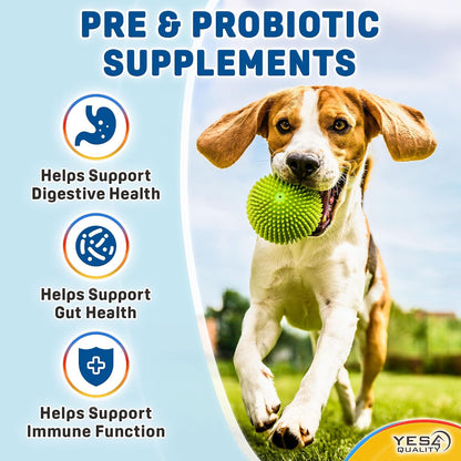 Dog Probiotics - Prebiotic & Probiotic Chews - Supports Immunity, Digestive & Gut Health - 120 Chicken Flavoured Tablets