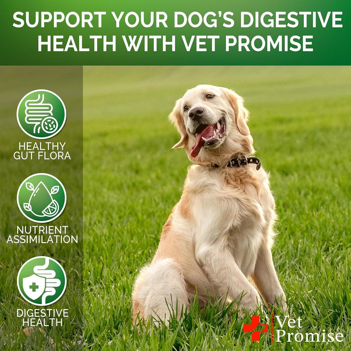 (2 Pack) Probiotics for Dogs - Dog Probiotics and Digestive Enzymes for Gut Health, Itchy Skin, Allergies, Immunity, Yeast Balance - Prebiotics - Reduce Diarrhoea, Wind - 240 Probiotic Chews for Dogs - görsel 4