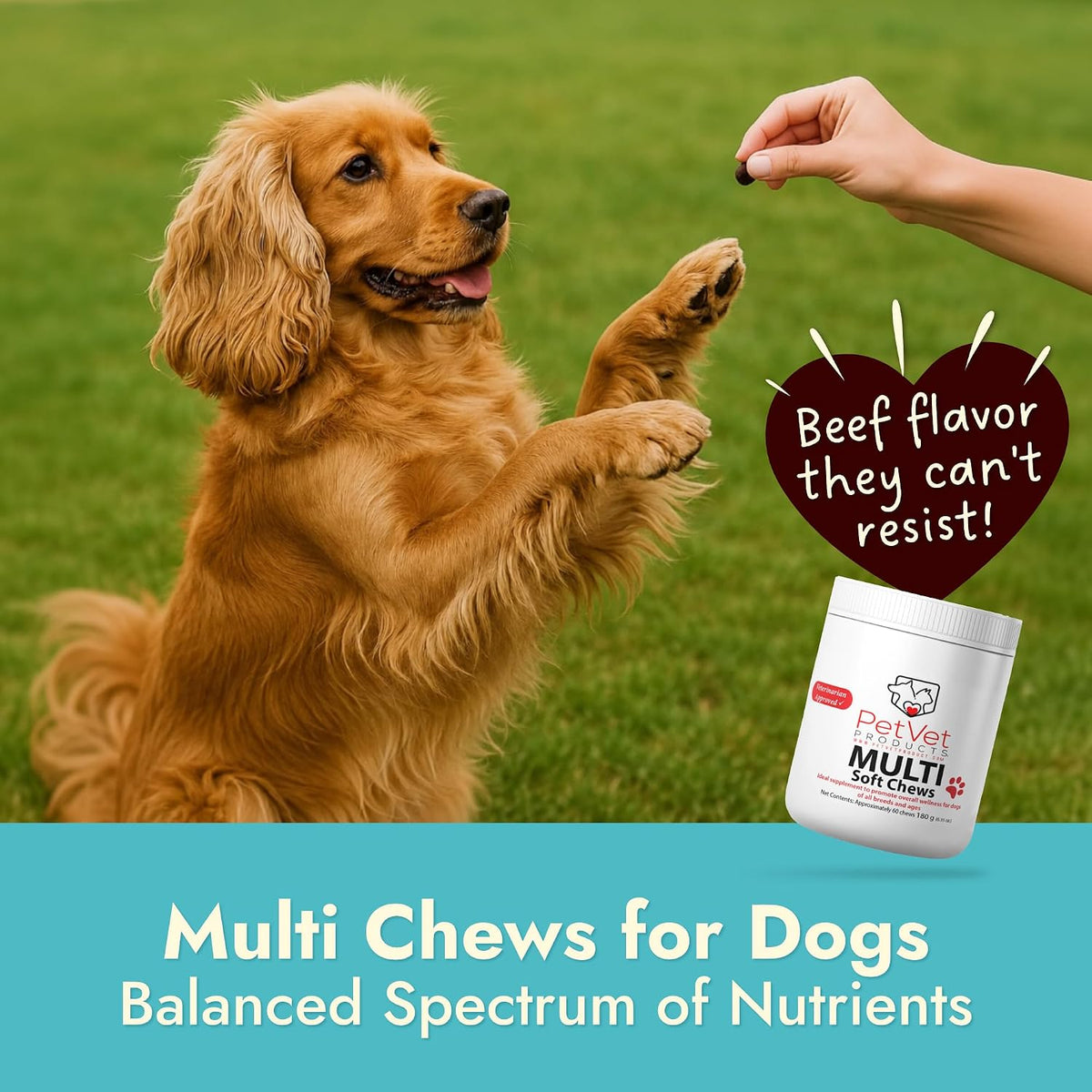 Pet Vet Multi Soft Chews for Dogs (Beef Liver, 60 Chews) - görsel 2
