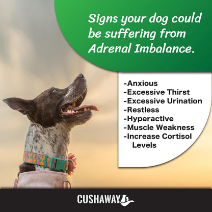 CushAway Cushing's Disease All-Natural Nutritional Supplement for Dogs