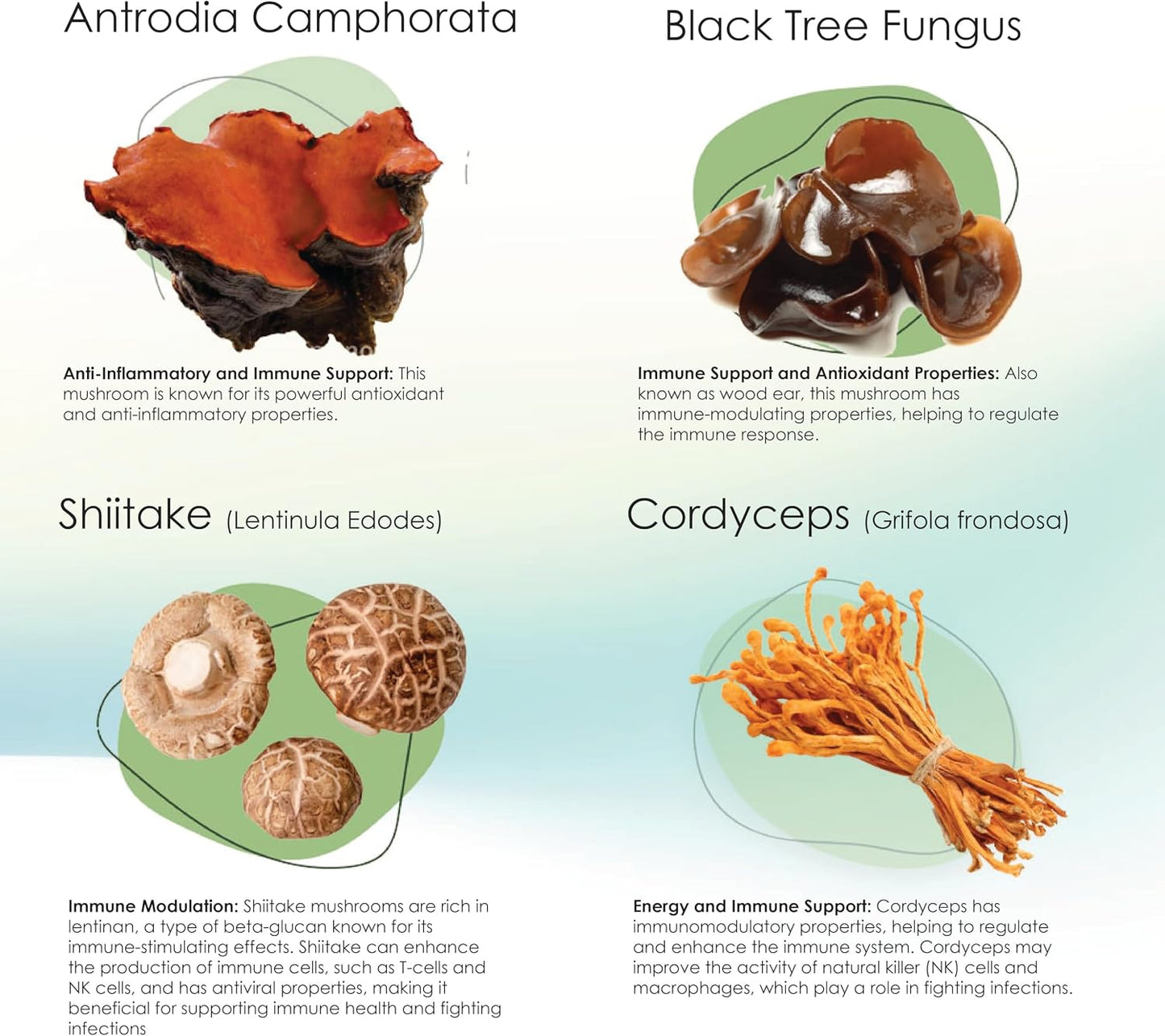 Mycogen Immune Support for Dogs – Beta Glucan, Reishi, Shiitake & Maitake Mushroom Blend – 60 Tasty Liver-Flavoured Soft Chews - görsel 7