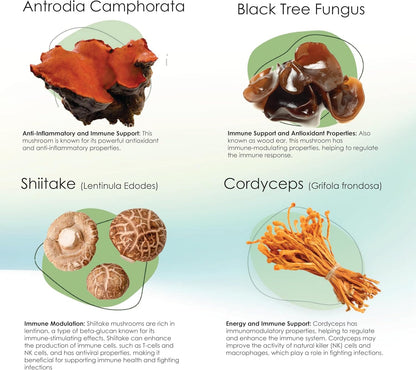 Mycogen Immune Support for Dogs – Beta Glucan, Reishi, Shiitake & Maitake Mushroom Blend – 60 Tasty Liver-Flavoured Soft Chews