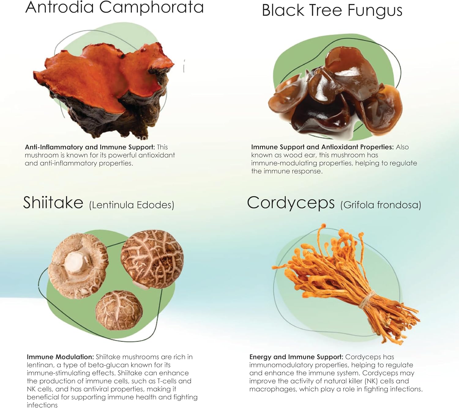Mycogen Soft Chew for Dogs – 8 Species Mushroom Blend for Immune Support – Turkey Tail, Reishi, Shiitake, Cordyceps, Black Tree Fungus – 120 Tasty Soft Chews - görsel 6