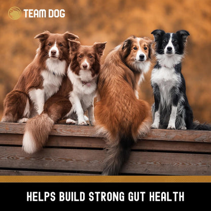 TEAM DOG Probiotic Chews for Dogs | Digestive Enzymes & Probiotics for Gut Health, Skin Support, and Sensitive Stomachs | 120 Chews