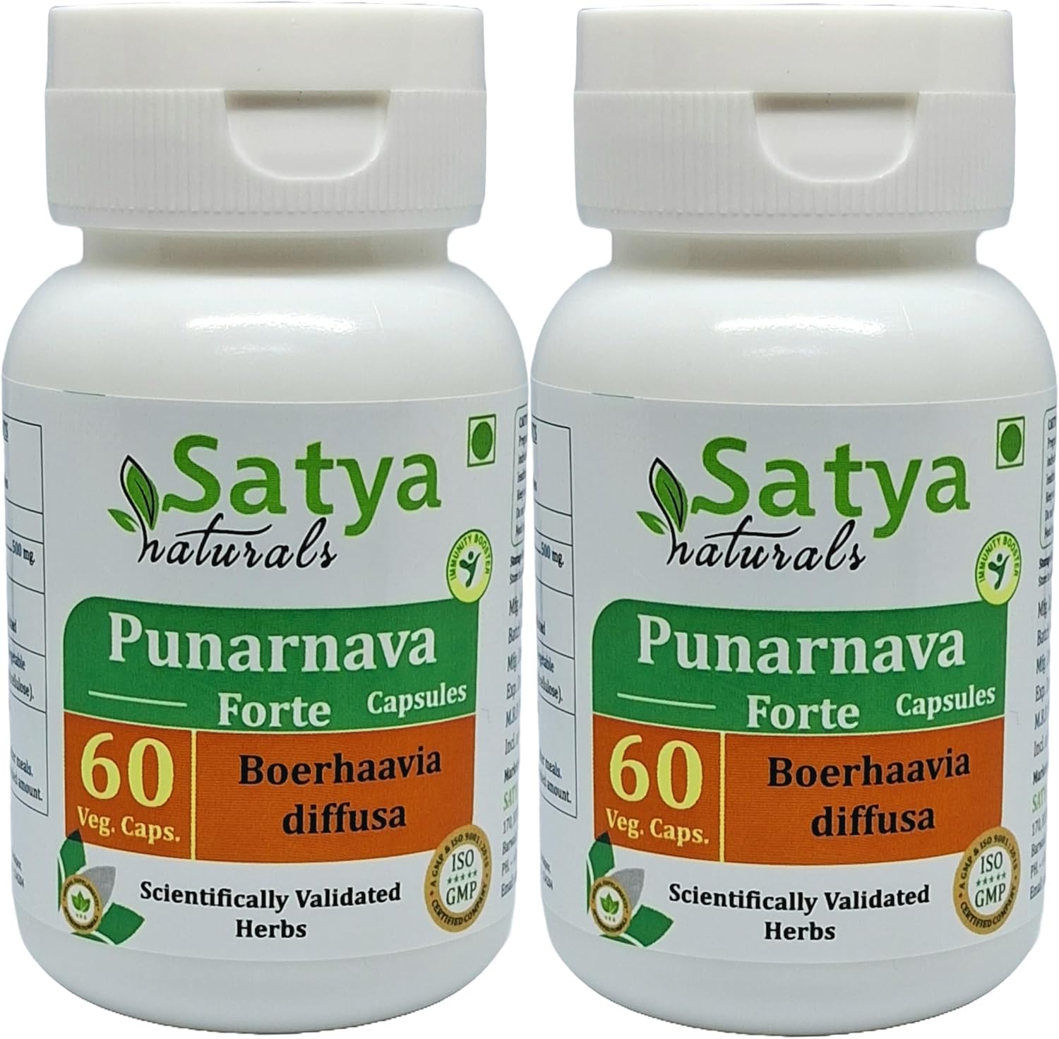 Punarnava Forte Capsule 500 mg - Ayurvedic Herbal Supplement (2 Bottles of 60 Capsules) - görsel 1