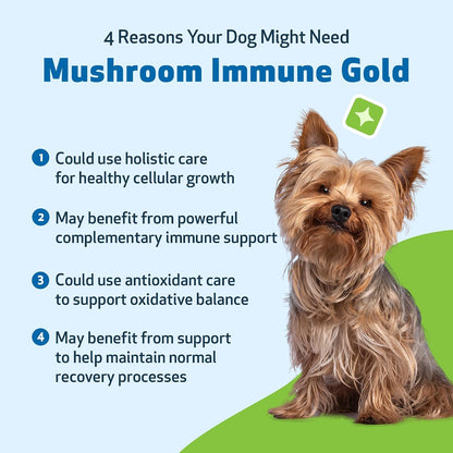 Pet Wellbeing Mushroom Immune Gold for Dogs – Complementary Immune Support with Reishi, Maitake & Turkey Tail – 8 oz Liquid Formulation