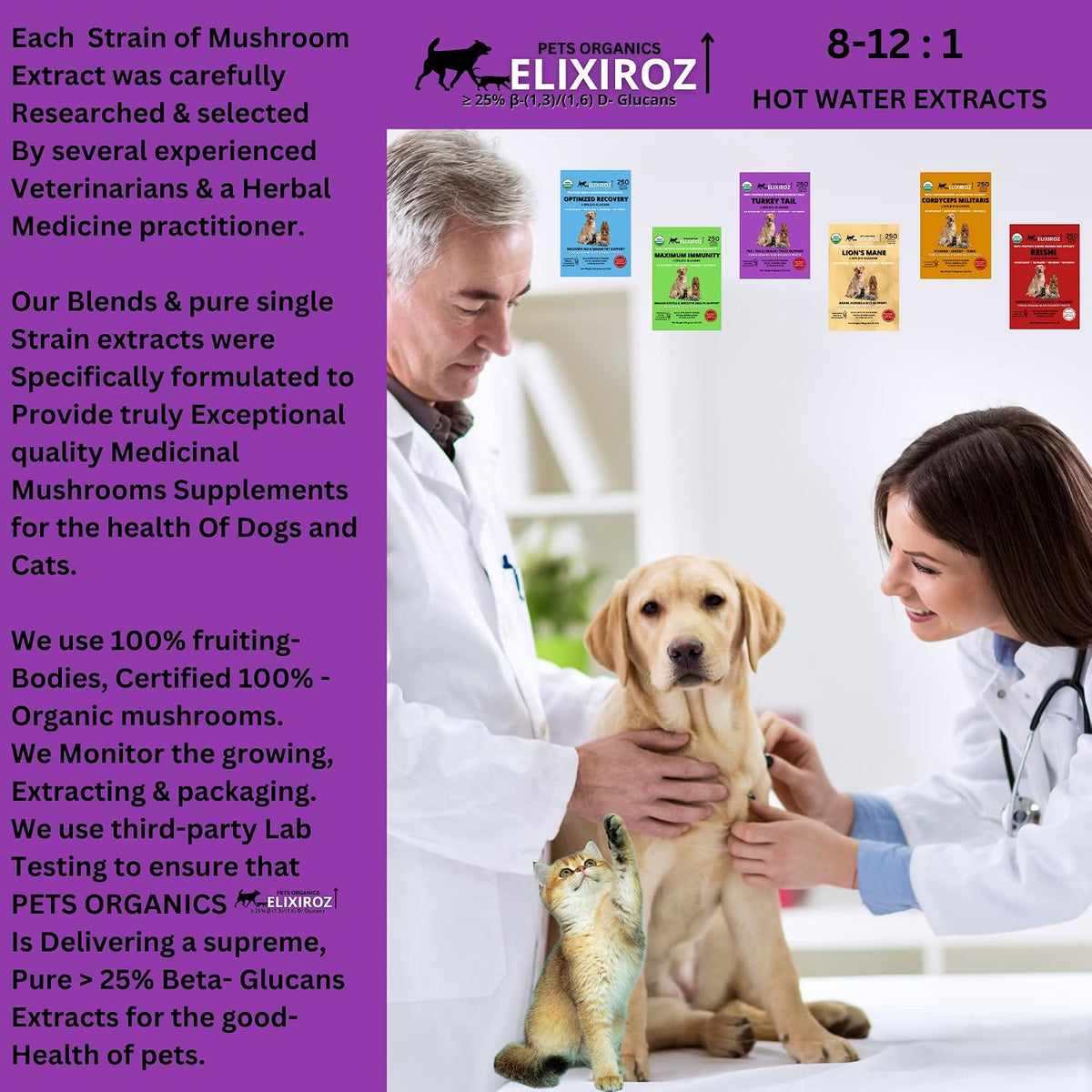 Turkey Tail Mushroom Extract for Dogs & Cats – 25%+ Beta Glucans – Concentrated Fruiting Body Extract (8:1–12:1) – Immune & Gut Support – No Fillers – 250 Servings - görsel 8