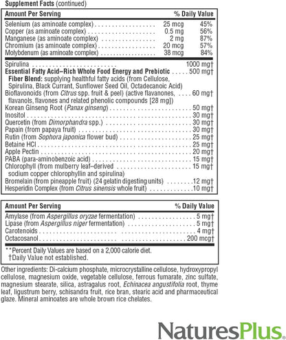 NaturesPlus Source of Life - 90 Mini-Tabs - Multivitamin & Mineral Supplement