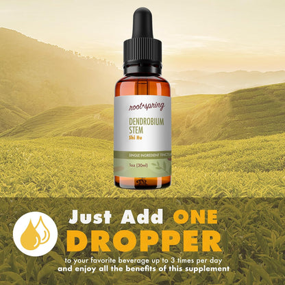 Dendrobium Stem (Shi Hu) Herbal Tincture - Single Ingredient Liquid Extract, 30 ml
