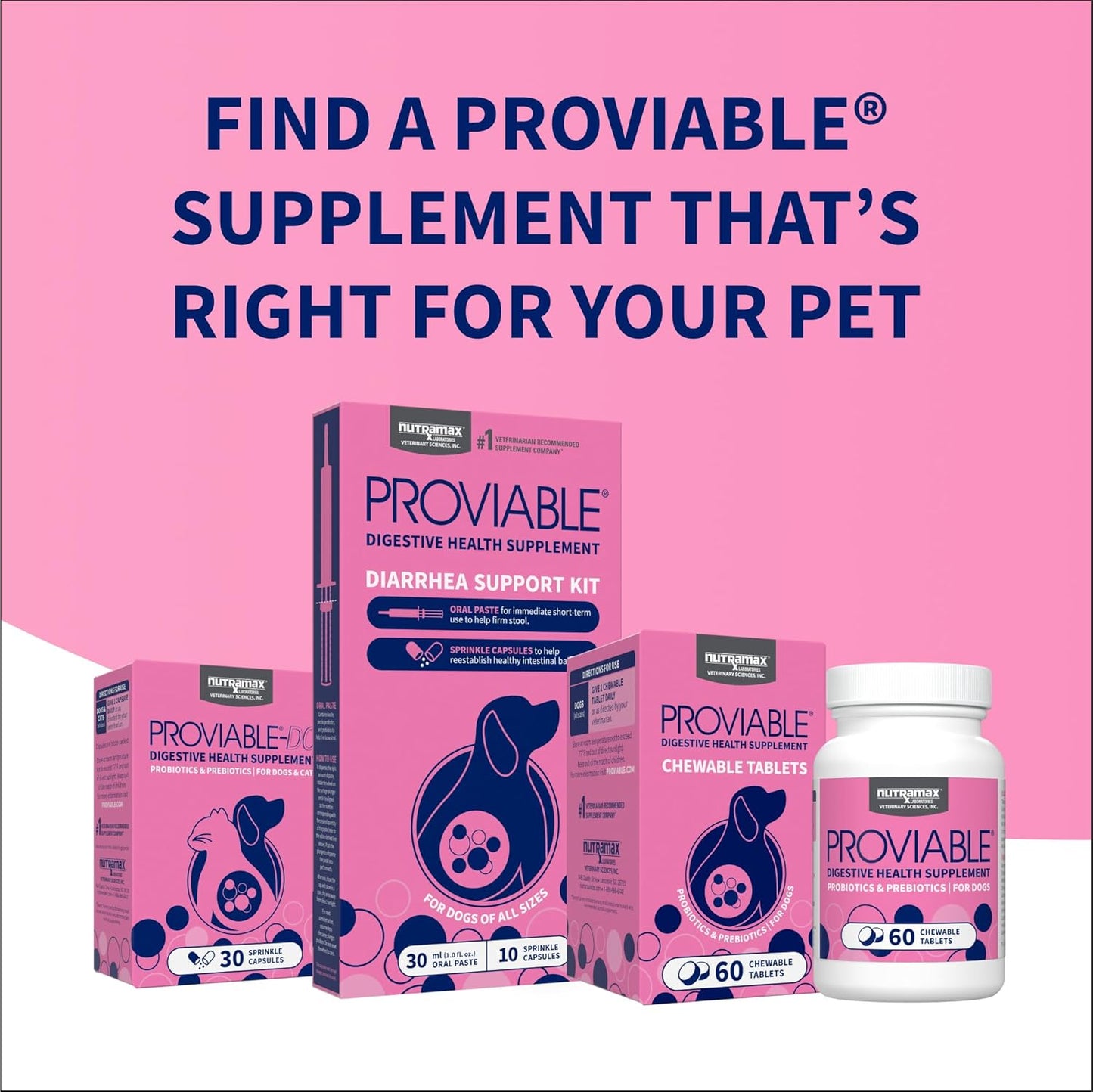 Nutramax Proviable Probiotics for Dogs - Daily Digestive Health Supplement with Prebiotics, 60 Chewable Tablets - görsel 10
