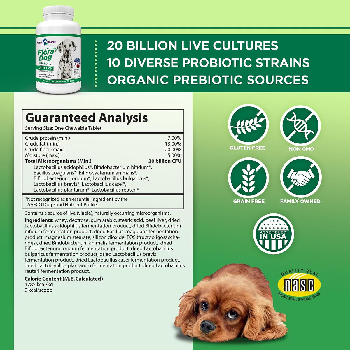 Flora Dog Probiotic Chewable Tablets for Dogs - 20 Billion CFU, 10 Strains - görsel 2
